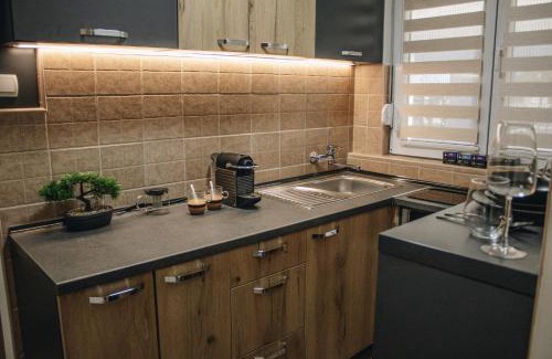 Banovo brdo Apartment | Apartman Premijer 1