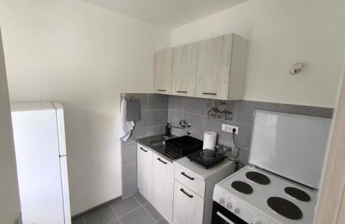 Ivanjica Apartment | Apartman Removic