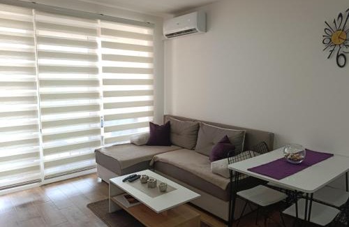 Veliko Gradiste Apartment | Apartman Sara S