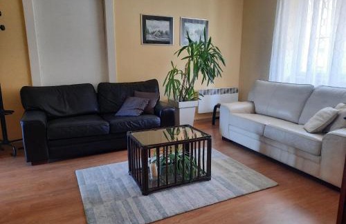 Ogulin Apartment | Apartman Soda