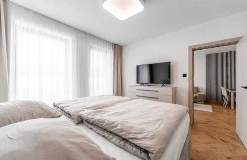 Kosice Old Town Apartment | Apartman Timonova St Elisabeth