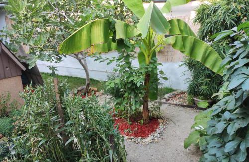 Bizovac Apartment | Apartman "Vuković"