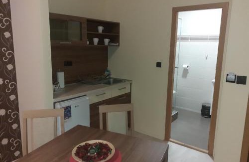 Smederevo Apartment | Apartmani CENTAR- Smederevo