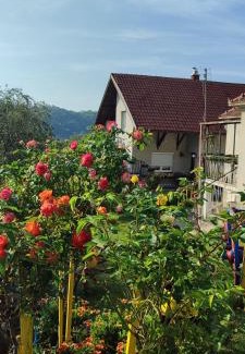 Mladenovac House | Apartmani Mali Raj Rudnik
