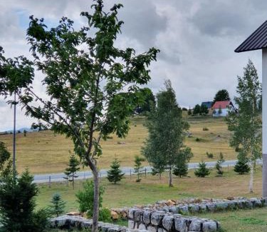 Razvrsje Apartment | Apartmani Stari Gaj