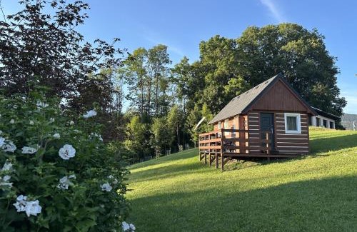 Rokytnice nad Jizerou Apartment | Apartmany Silver