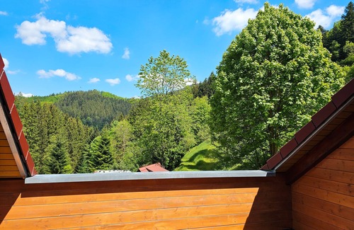 Bad Peterstal-Griesbach Apartment | Apartment 'Ferienwohnung Nr 2 Maierbauernhof' with Mountain View, Shared Terrace and Wi-Fi