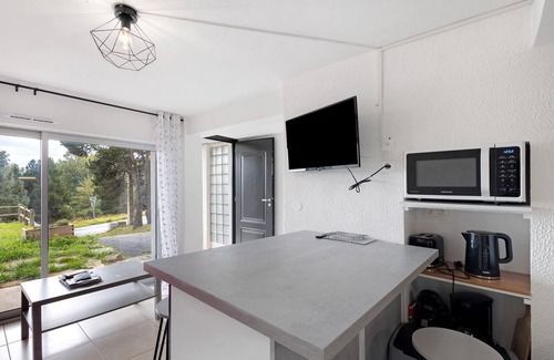 Font-Romeu-Odeillo-Via Apartment | Apartment 'Cosy 1 Bedroom in Font' with Mountain View, Shared Garden and Balcony