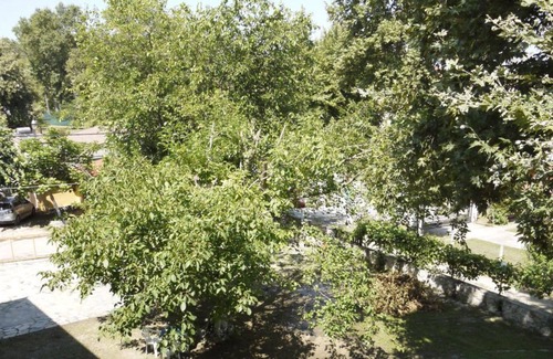 Paralia Pantaleimonos Apartment | Apartment 107 - Achillion B&B, close to the beach and Mount Olympus