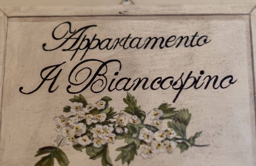 Abbadia San Salvatore Apartment | Apartment in the center of Abbadia San Salvatore, 6 Km Bagni San Filippo