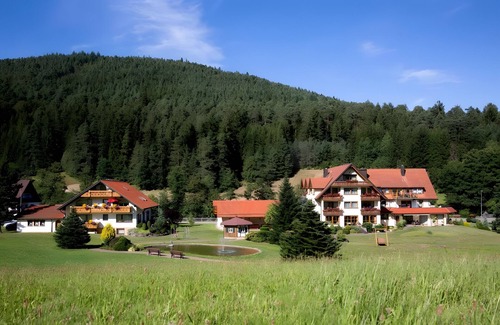 Tonbach Apartment | Apartment '07 Type B 32' with Mountain View, Private Terrace and Wi-Fi