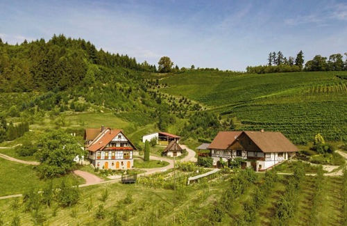 Oberkirch Apartment | Apartment '2, 85qm' with Balcony and Wi-Fi