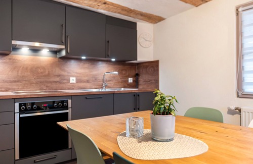 Ludwigshafen Apartment | Apartment '2' in Bodman-Ludwigshafen