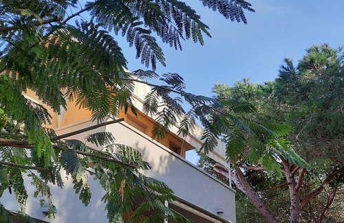 Mazzanta Apartment | Apartment 200 meters from the sandy beach and the pine forest