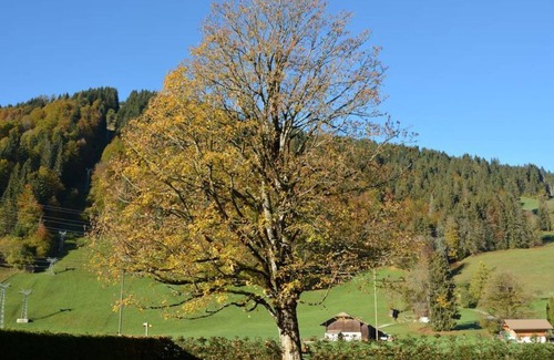 Zweisimmen Nr Gstaad Apartment | Apartment ∙ 3 bedrooms ∙ 6 guests