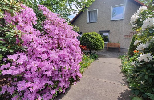 Bernau bei Berlin Apartment | Apartment, 55 sqm, 1 bedroom, bathtub, balcony and garden, max. 4 persons