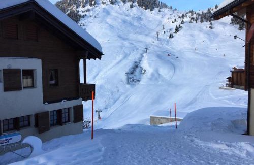 Riederalp Apartment | Apartment Almenrausch Parterre by Interhome