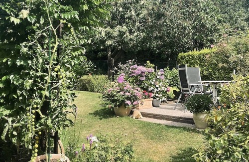 Bad Doberan Apartment | Apartment 'Am Hasenberg' with Garden & Wi-Fi