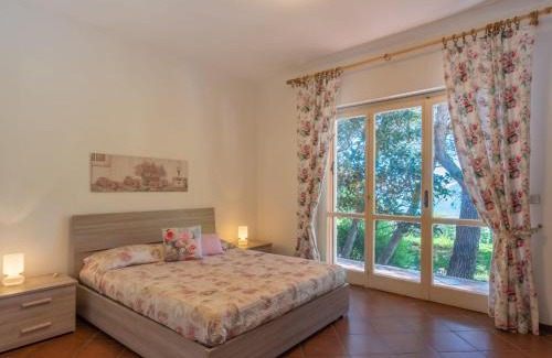 Andora Apartment | Apartment Apartment C1 - AND113 by Interhome