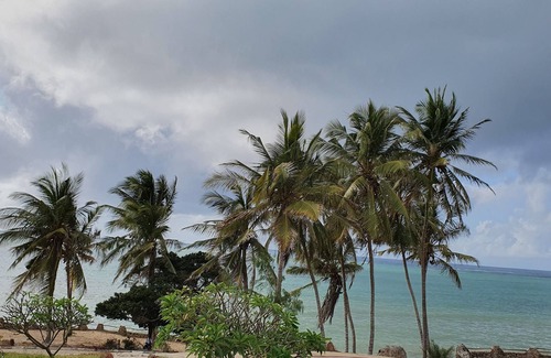 Shanzu Condo | Apartment apartment on the seafront La Mera Beach Apartments