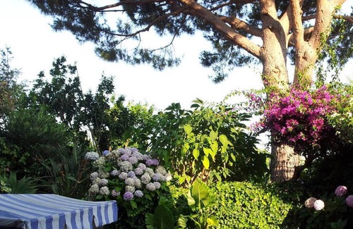 Barano d'Ischia Apartment | Apartment / app. for 4 guests with 55m² in Barano D'ischia (124459)