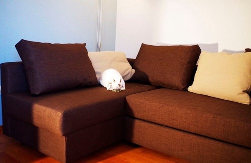 Gross Wittensee Apartment | Apartment / app. for 2 guests with 77m² in Groß Wittensee (12854)