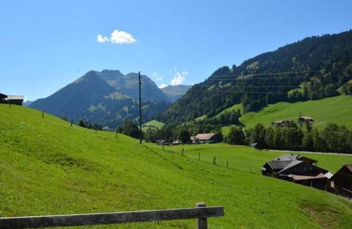 Zweisimmen Nr Gstaad Apartment | Apartment Arduus by Interhome