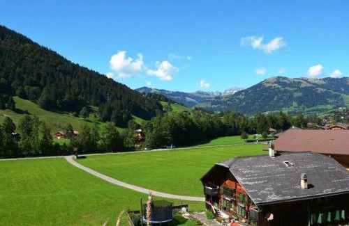 Zweisimmen Nr Gstaad Apartment | Apartment Arduus by Interhome