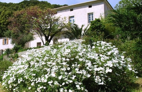 Ersa Apartment | Apartment at the tip of Cap Corse