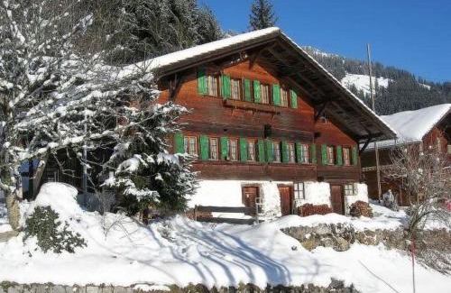 Oberwil im Simmental Apartment | Apartment Auf der Mauer by Interhome