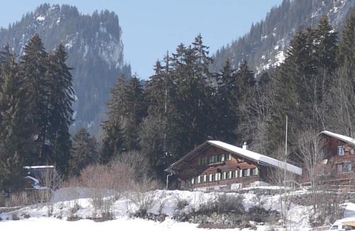 Oberwil im Simmental Apartment | Apartment Auf der Mauer by Interhome