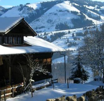 Oberwil im Simmental Apartment | Apartment Auf der Mauer by Interhome