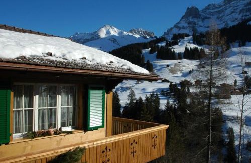 Adelboden Apartment | Apartment Bärgchutzli 1- Stock by Interhome