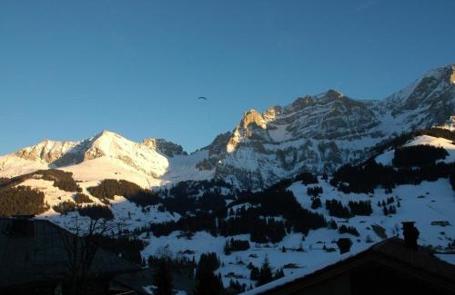 Adelboden Apartment | Apartment Bärgchutzli 1- Stock by Interhome