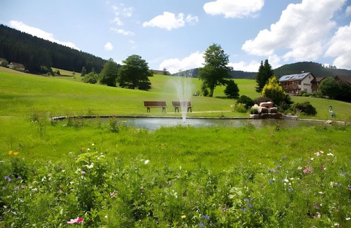 Tonbach Apartment | Apartment 'B 22' with Mountain View, Private Terrace and Wi-Fi