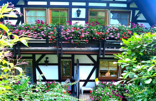 Sasbachwalden Apartment | Apartment 'Bachschwalbe' with Mountain View, Shared Terrace and Wi-Fi