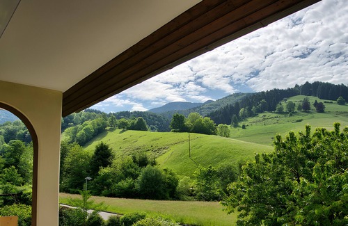 Untermunstertal Apartment | Apartment 'Belchen, Typ B' with Mountain View, Balcony and Wi-Fi