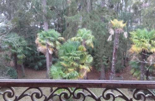 Couiza Apartment | apartment belonging to a large country house in Cathar country