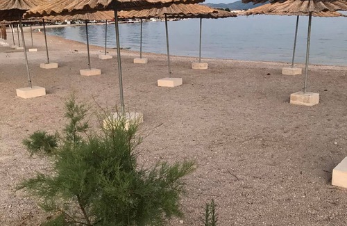 Brodarica Apartment | Apartment Belu