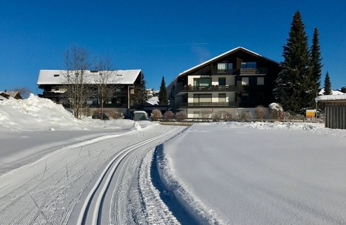 Obermaiselstein Apartment | Apartment ‘Bergrose’ with mountain railway ticket Hörnerdörfer included, swimming pool & sauna