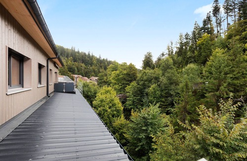 St. Blasien Apartment | Apartment 'Birke' with Balcony and Wi-Fi