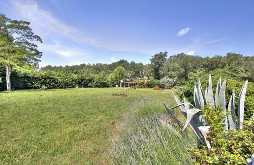 Monterol House | Apartment Branka - Monterol