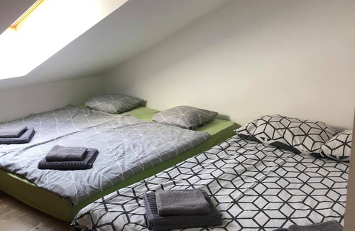 Logatec Apartment | Apartment-Camp-Bar Grajski park Vitez - vacation in embrace of 100 year trees