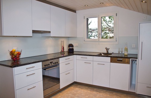 Hasliberg Wasserwendi Apartment | Apartment with a panoramic view of the mountains, glaciers and Lake Brienz