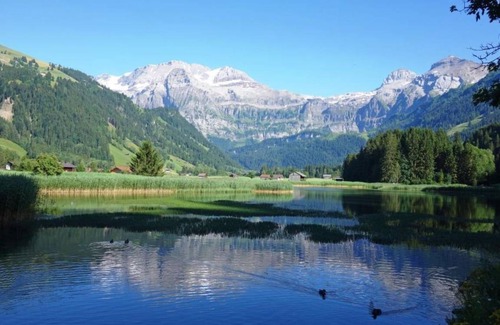 Lenk Apartment | Apartment ∙ 2 bedrooms ∙ 6 guests