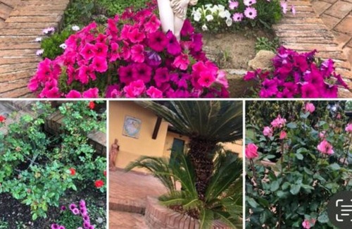 Pisa Apartment | Apartment "Con Piscina Fiore" with Private Pool & Wi-Fi
