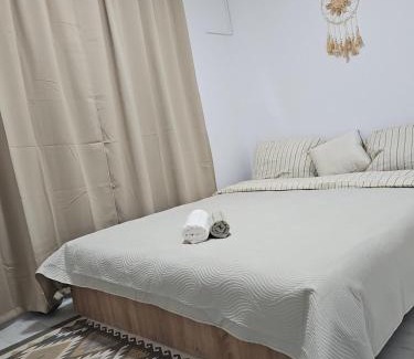 Arad Apartment | Apartment cu bun gust, parcare publica fără plata, Self Non Stop check in, zona linistita