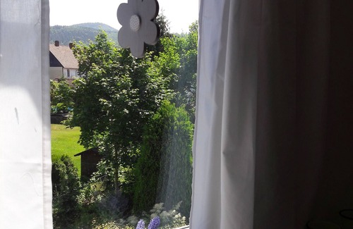 Langelsheim Apartment | Apartment Dandelion