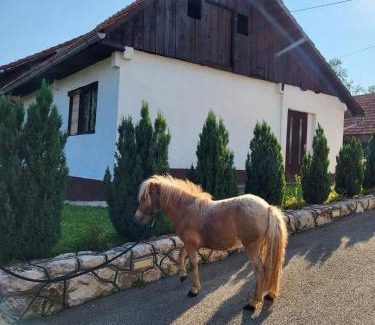 Slunj Apartment | Apartment Dado