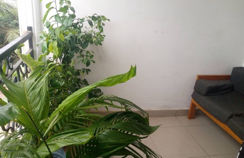 Kribi House | Apartment decorated with natural plants and artistic paintings.